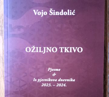 OŽILJNO TKIVO Vojo Šindolić - cover