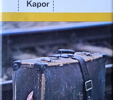 PROVINCIJALAC Momo Kapor - cover