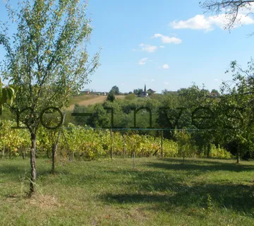Velika Ludina, Vlahinička, kuća na zemljištu površine 2580 m2 - cover