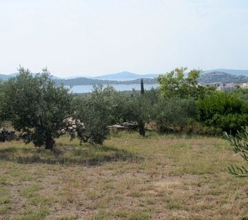 Vodice, održavani maslinik sa pogledom na more, Vodice - cover