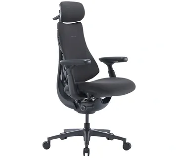 LiberNovo Omni Pro 45 cm Ergonomic Chair (Graphite) - Strmec, Sveta Nedelja