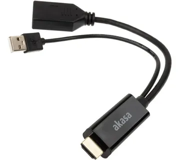 Akasa HDMI to DisplayPort Adapter Cable - black AK-CBHD24-25BK - Strmec, Sveta Nedelja