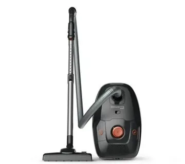 Rowenta usisivač RO6164EA - Strmec, Sveta Nedelja