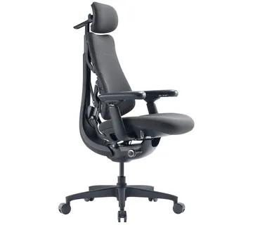 LiberNovo Omni GEN 45 cm Ergonomic Chair (Graphite) - Strmec, Sveta Nedelja
