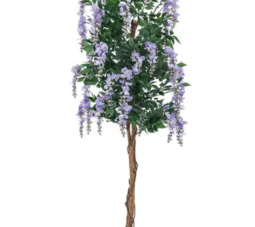 EUROPALMS Wisteria, white, 150cm - cover