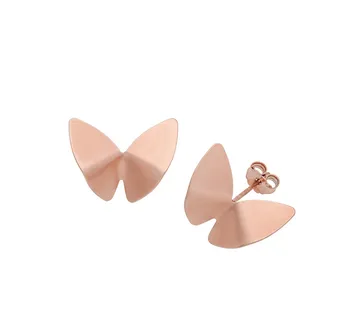 Leptir naušnice - cover