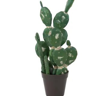 EUROPALMS Mixed cactuses, 54cm - cover