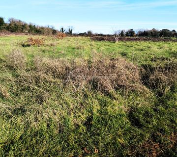 Zemljište u Šišanu, 1250 m2 - cover