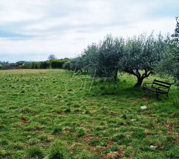 Građevinsko zemljište, Murine-Umag - cover