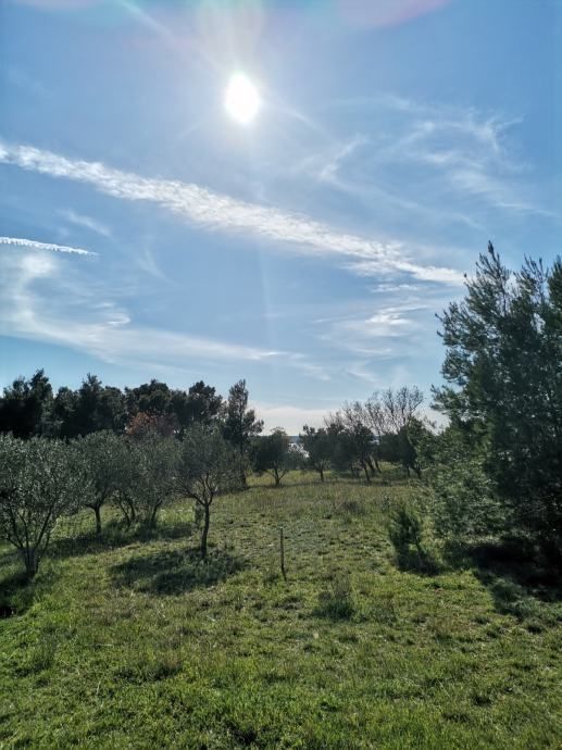 Fotografija