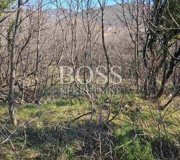 Škrljevo, teren 10.000m2, 245.000€ - cover