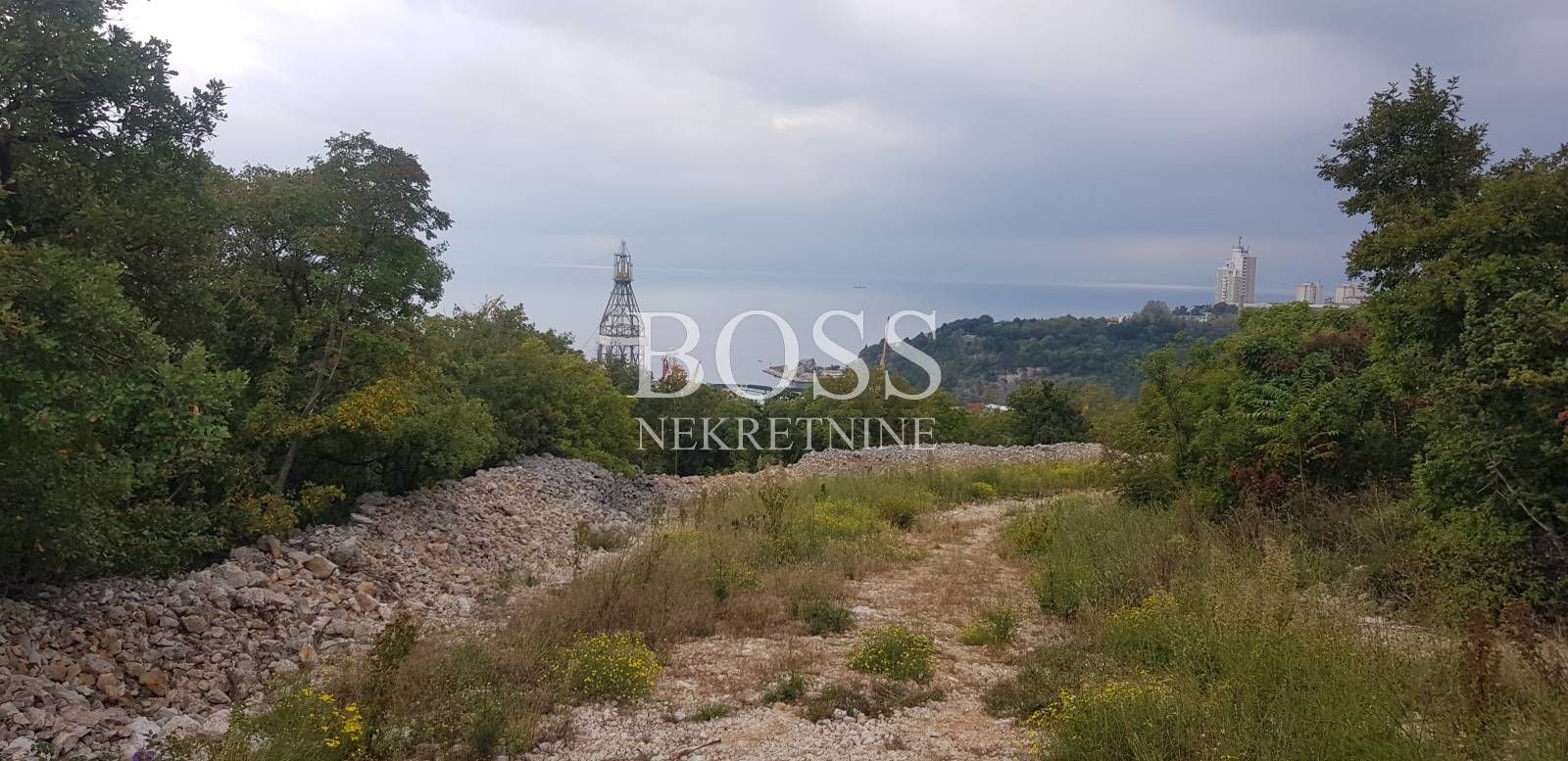 Fotografija