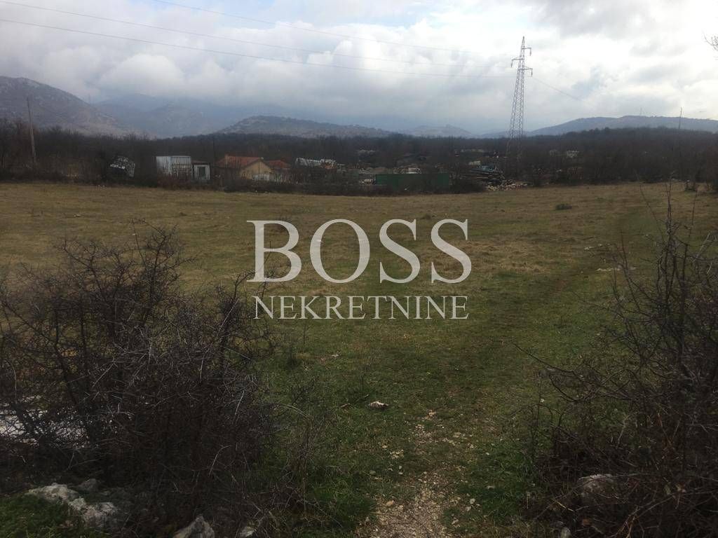 Fotografija