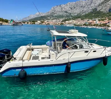 BOSTON WAHLER 305 CONQUEST u odličnom stanju - cover