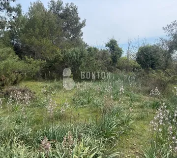 Mješovito Zemljište Iznad Zadra- Crno - Crno, Zadar