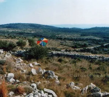 Zemljište od 52 000 m2, na prodaju - Brač, Brač