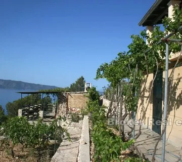 Kuća s prostranom okućnicom blizu mora - Brač, Brač