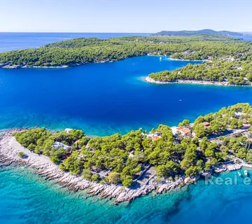 Vila s bazenom u blizini mora - Brač, Brač