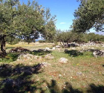 Poljoprivredno zemljište za prodaju - Brač, Brač
