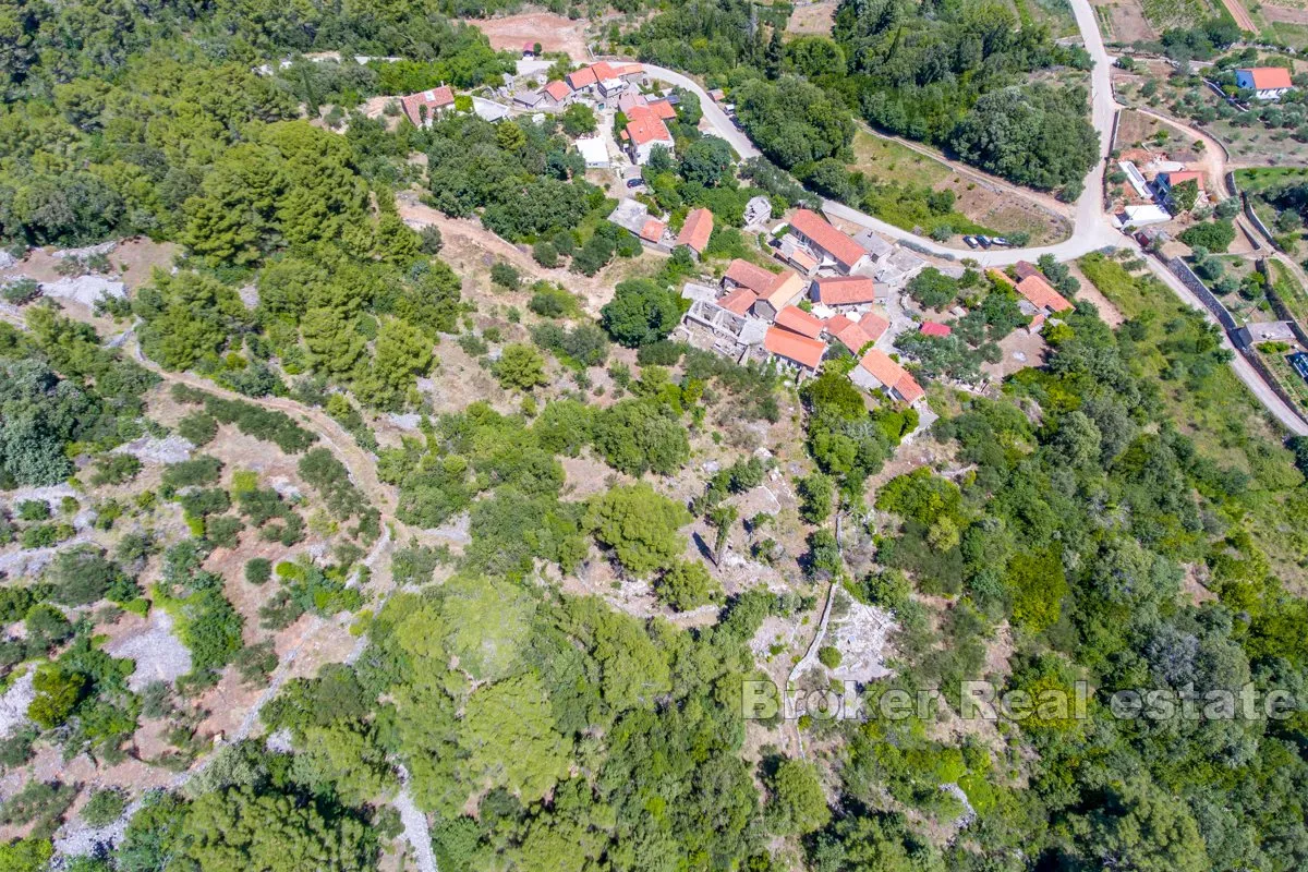 Fotografija