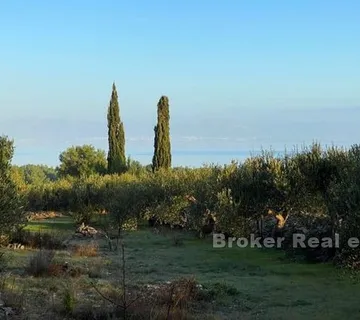 Poljoprivredno zemljište s pogledom na more - Brač, Brač