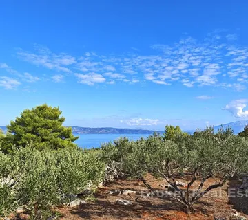 Poljoprivredno zemljište s kamenim objektom - prvi red do mora - Hvar