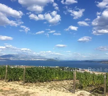 Mladi vinograd, za prodaju - Trogir