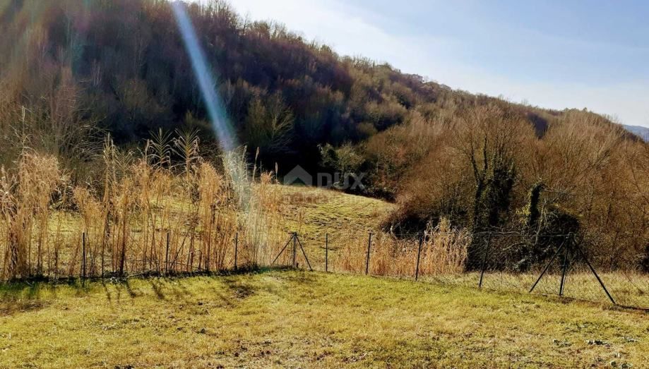 Fotografija