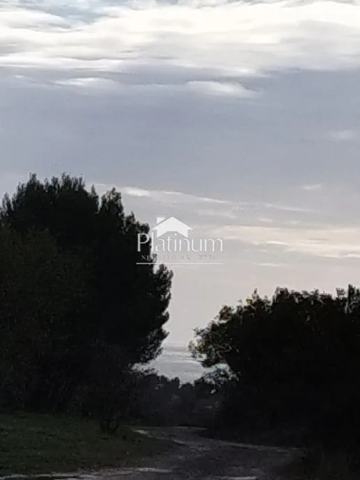 Fotografija