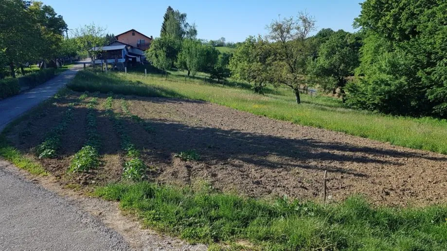 Fotografija