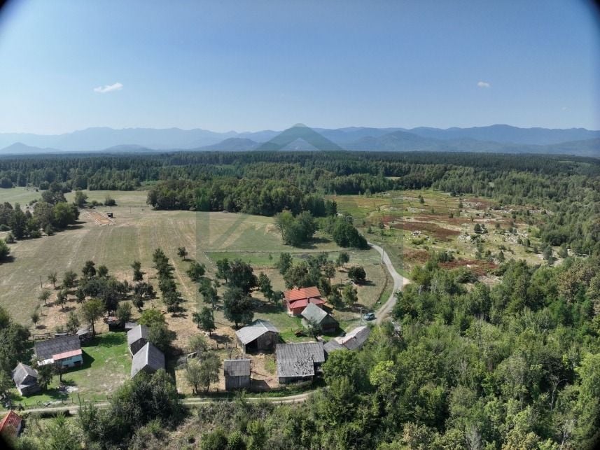 Fotografija