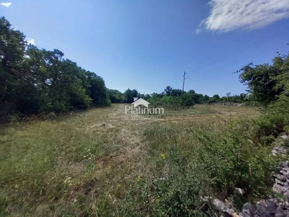Fotografija