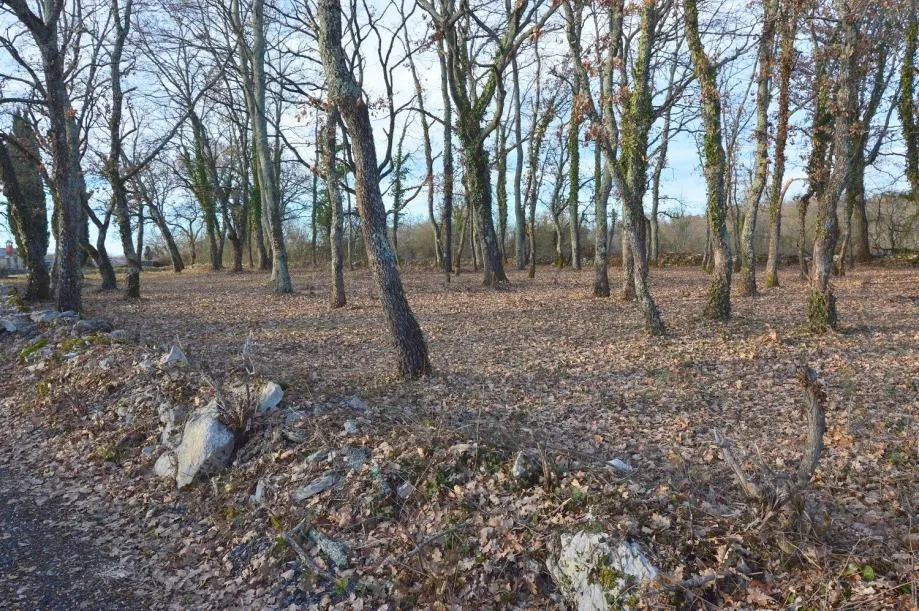 JAKOVIĆI-PREDIVNO ZEMLJIŠTE NA PRODAJI - cover