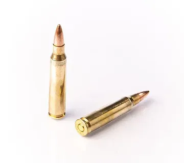 Karabinsko streljivo FIOCCHI .223 Rem. FMJ 55gr - cover