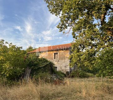 Oprtalj okolica lijepo zemljište 4500 m2 sa starinom! - cover