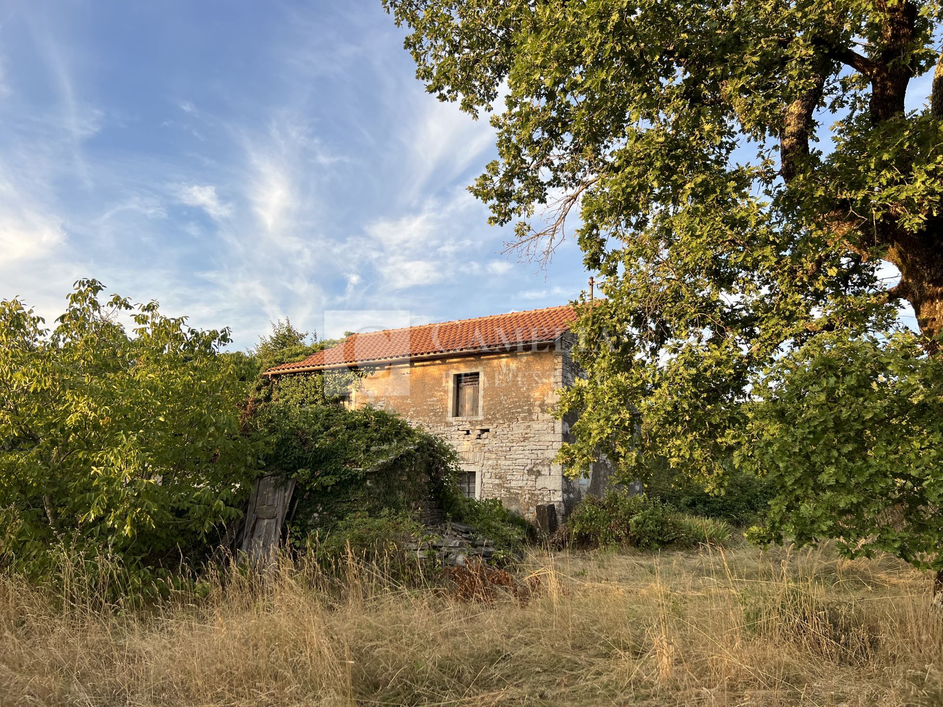 Fotografija