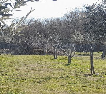 Građevinsko zemljište, Marčana, Istra - cover