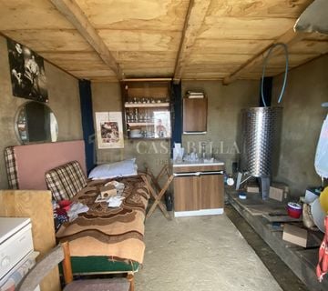 Klijet sa vinogradom Svetojurski Vrh -Pregrada - cover