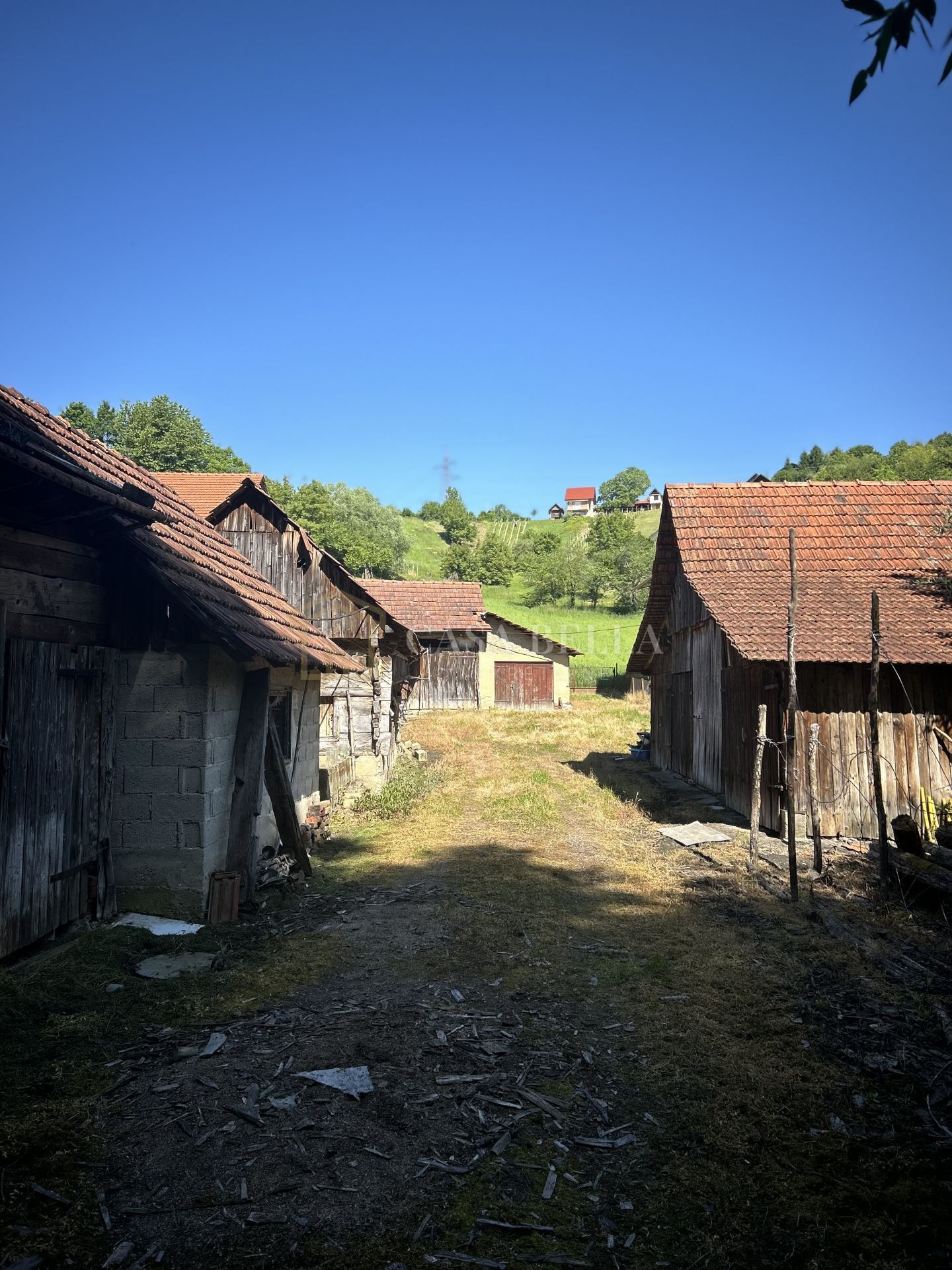 Fotografija