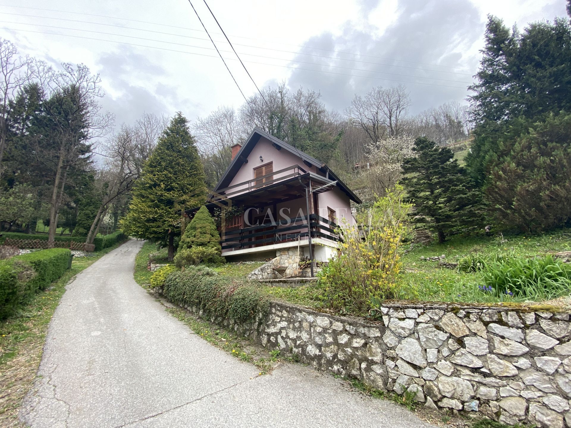 Fotografija