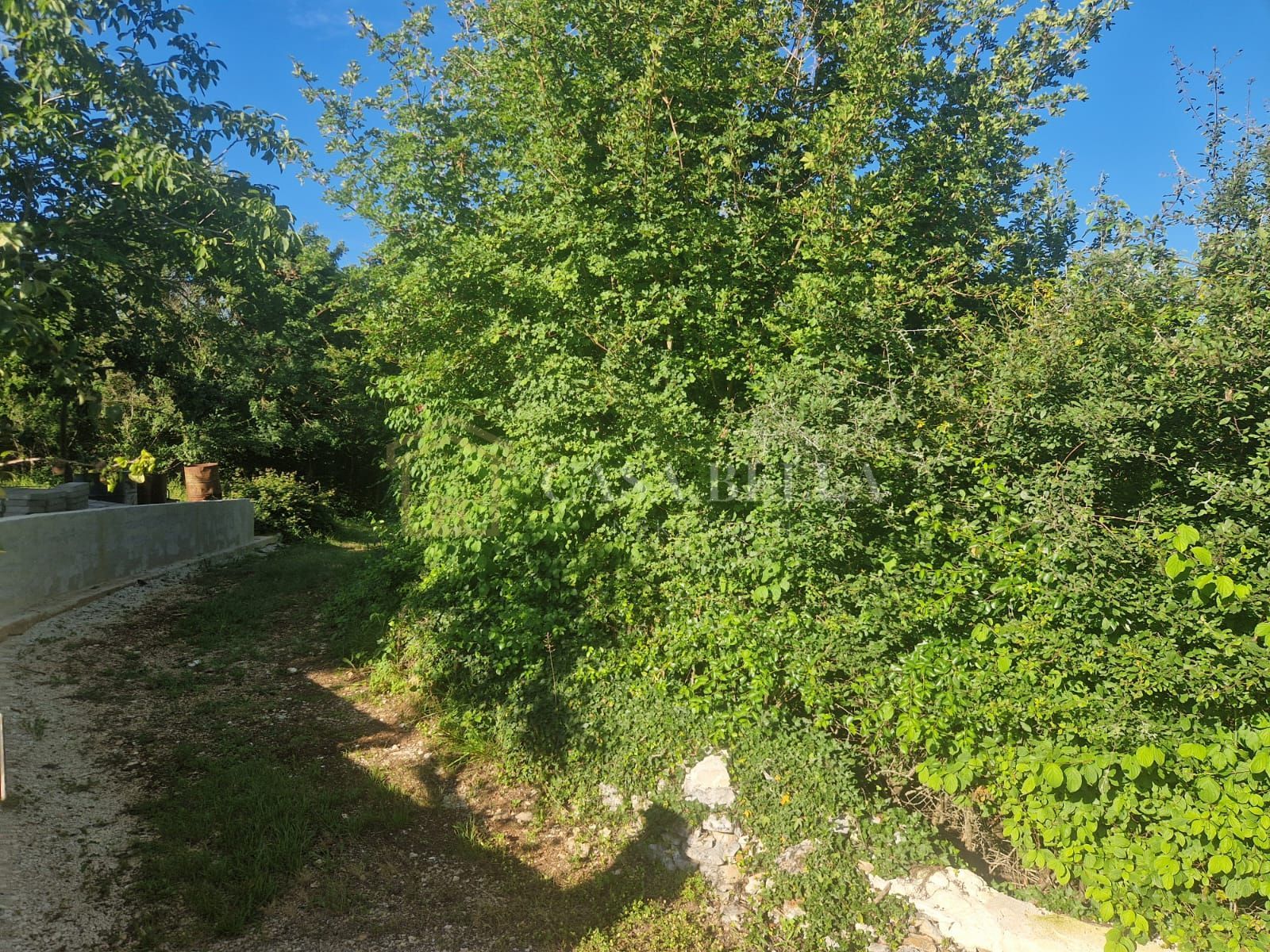 Fotografija