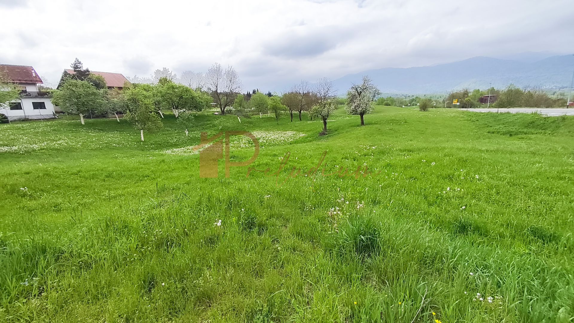 Fotografija