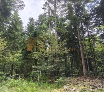 Šumsko zemljište – Lukovdol, 17.800 m² - cover