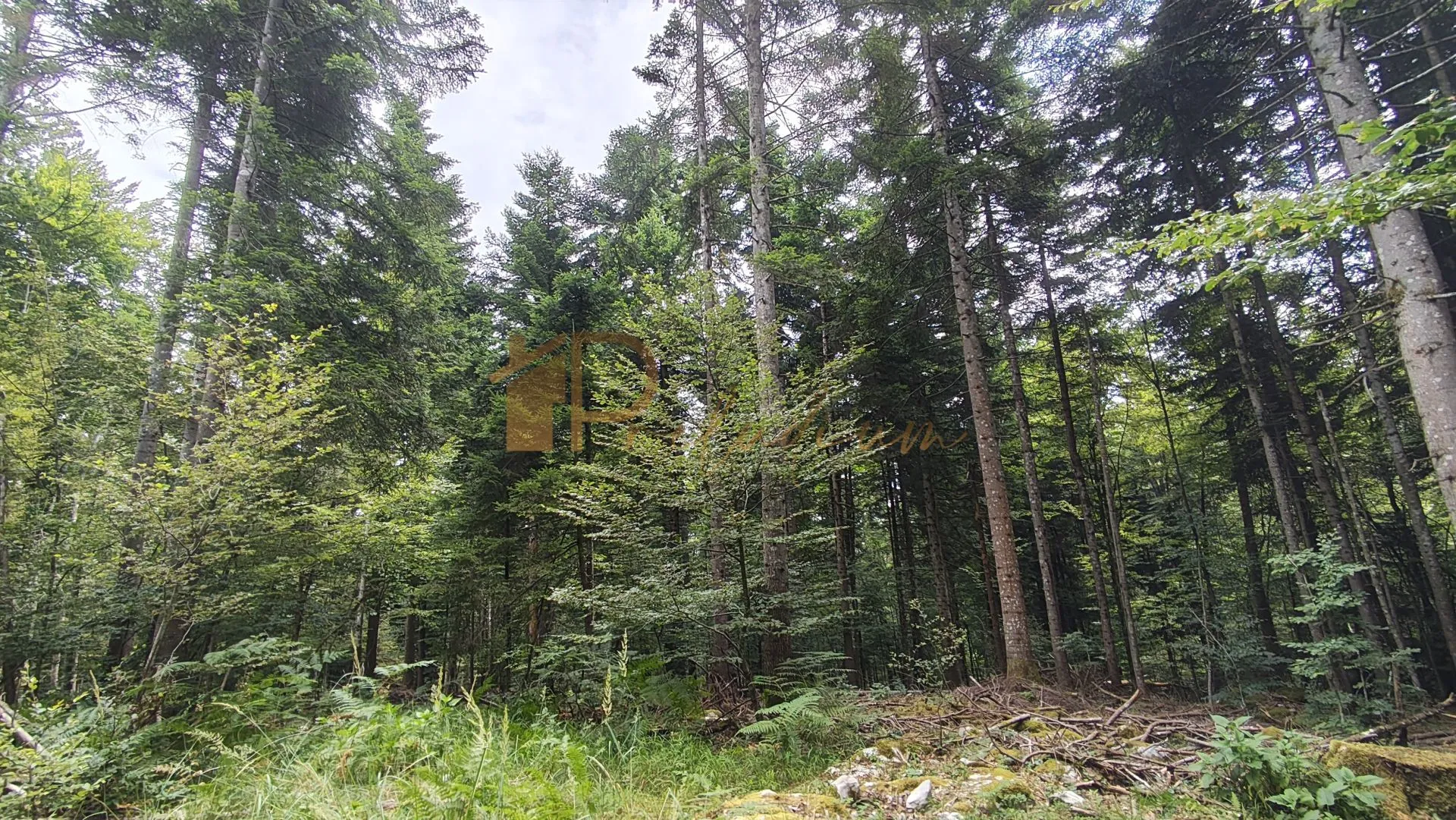 Šumsko zemljište – Lukovdol, 17.800 m² - cover