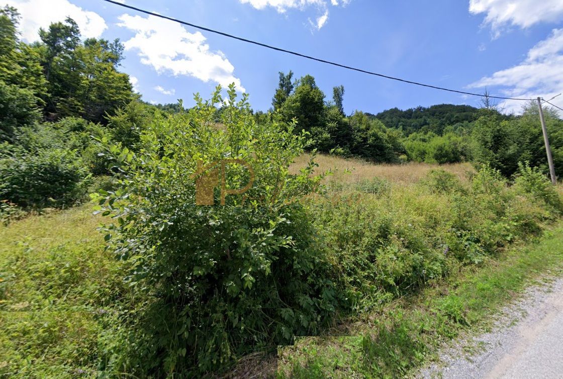 Fotografija