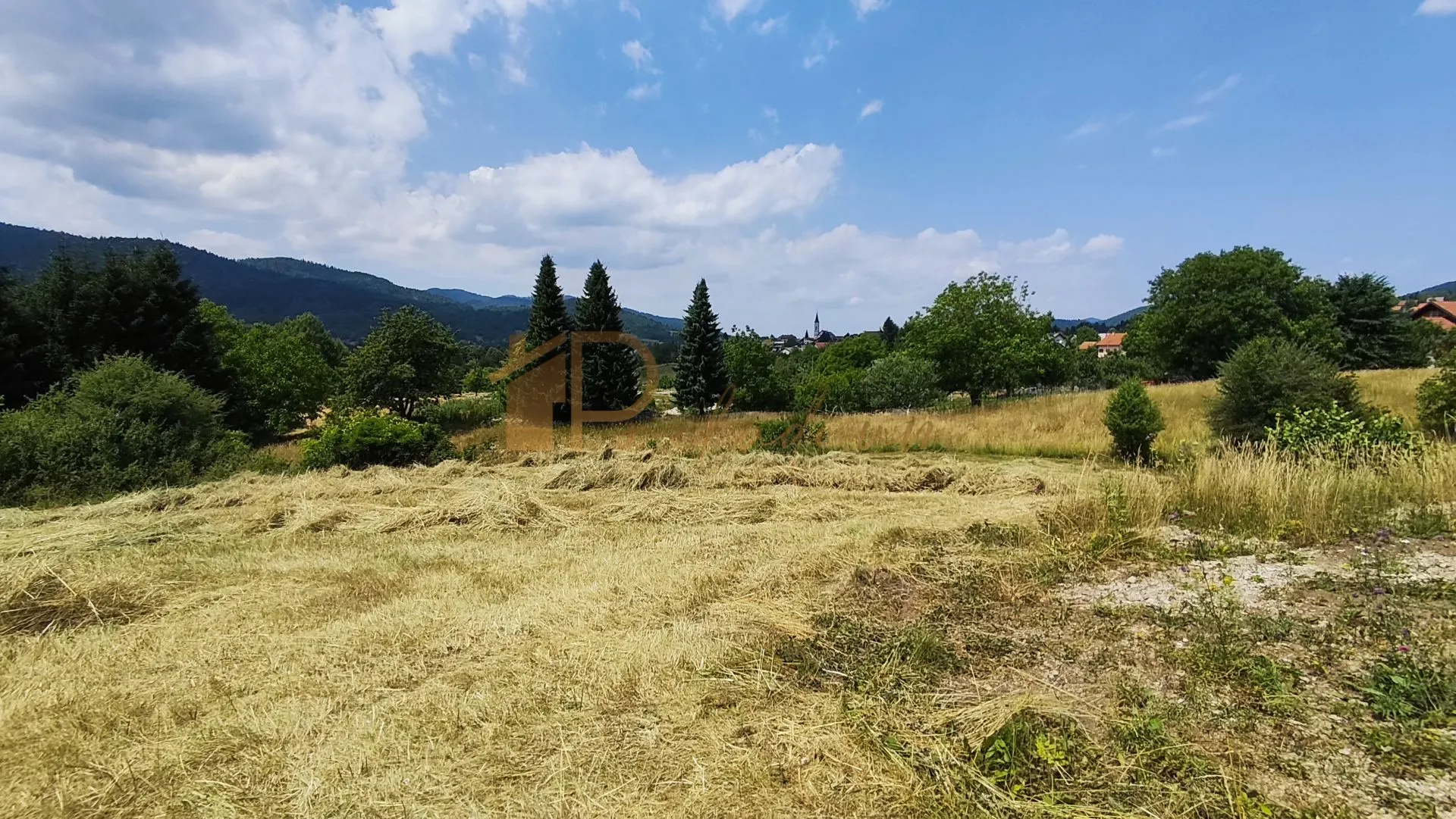 Fotografija