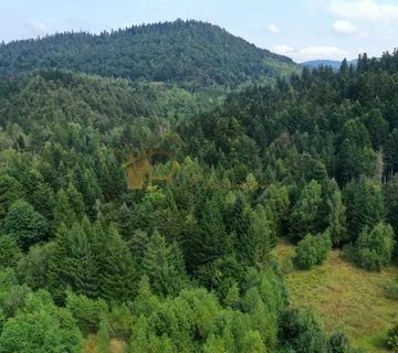 Prodaje se poljoprivredno zemljište 51.000 m² – Lokve - cover