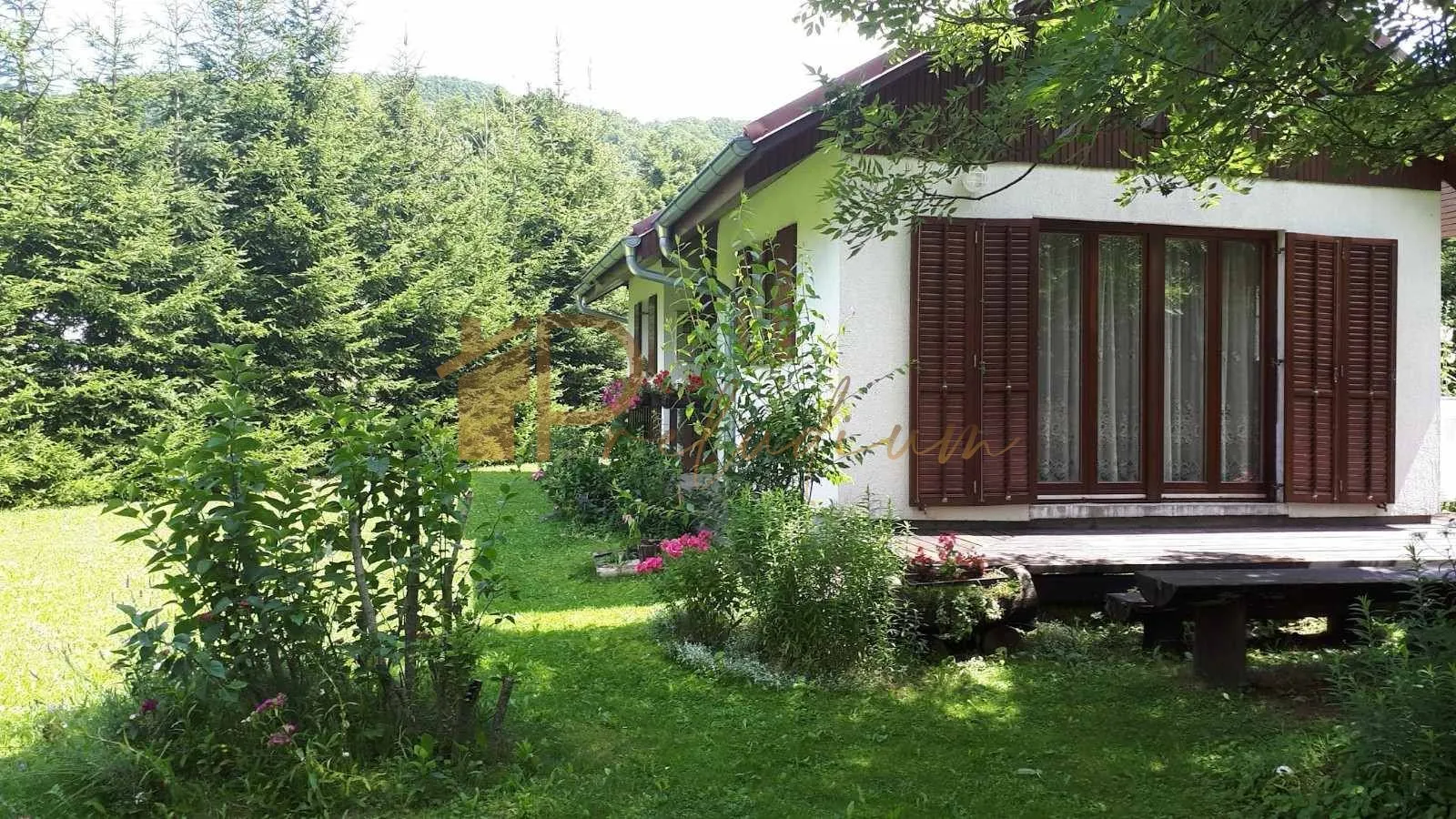 Fotografija