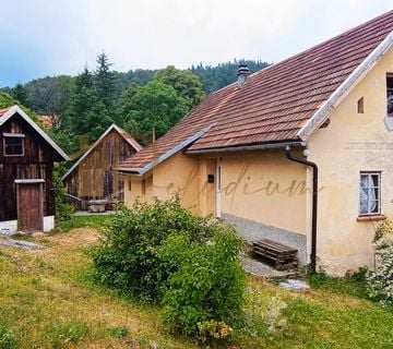 Samostojeća kuća u malom i mirnom mjestu - Moravice - cover