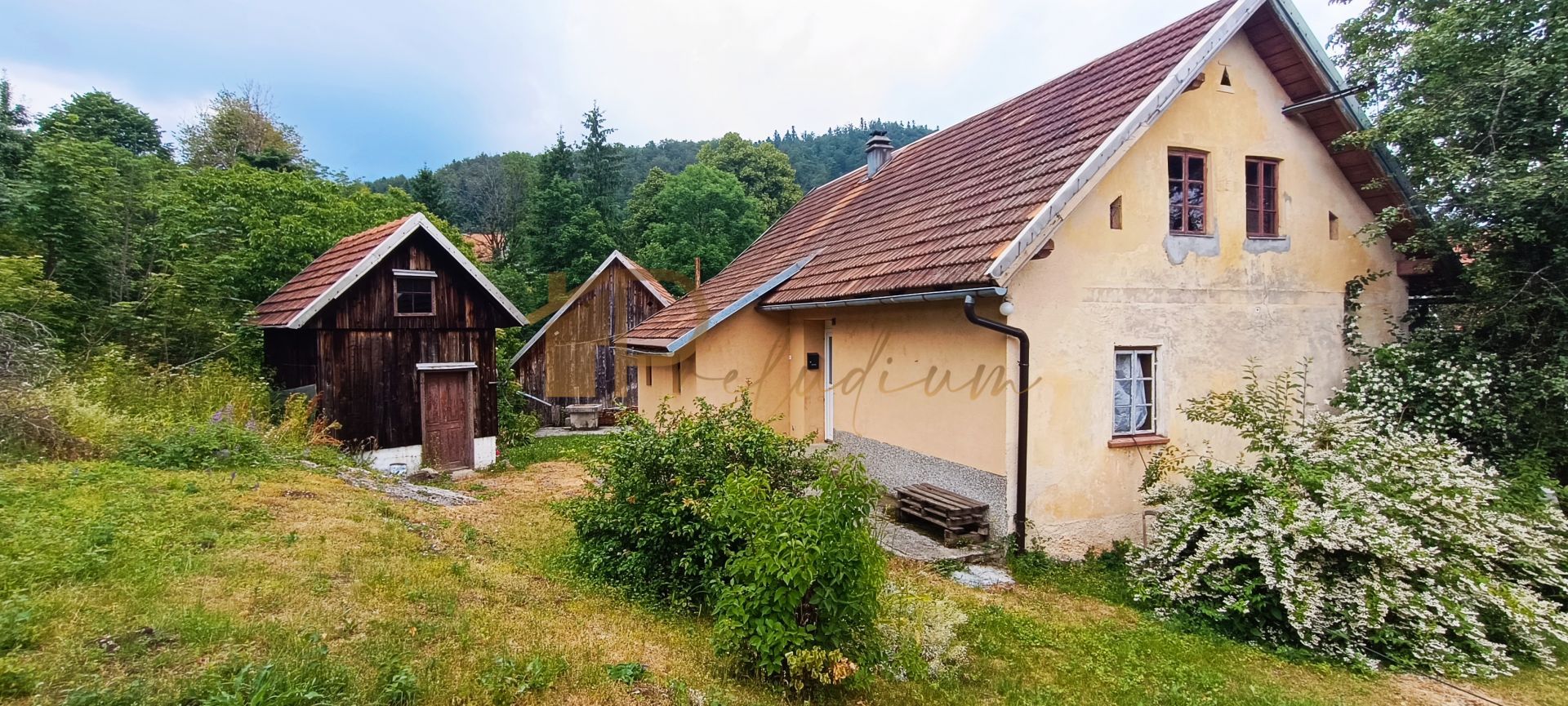 Fotografija